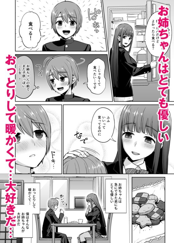 おっとりお姉ちゃんのえっちな本性 [どうしょく] | DLsite 同人 - R18