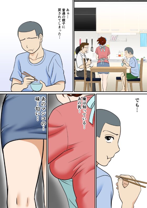 30日後にSEXする母と息子 〜1年後〜(ふわとろおぱんちゅケーキ) - FANZA同人