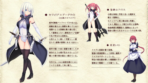 戦姫バッドエンドII -聖なるヒロイン無様敗北CG集-(妄想Caution) - FANZA同人