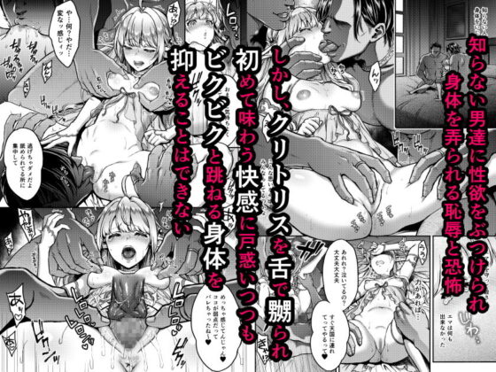 黄昏の娼エルフ2-娼婦にされた未熟なハイエルフ(H.B.A) - FANZA同人