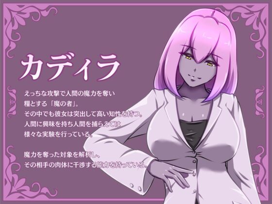 姫騎士がえっちな敵と戦って敗北する話(聖華快楽書店) - FANZA同人