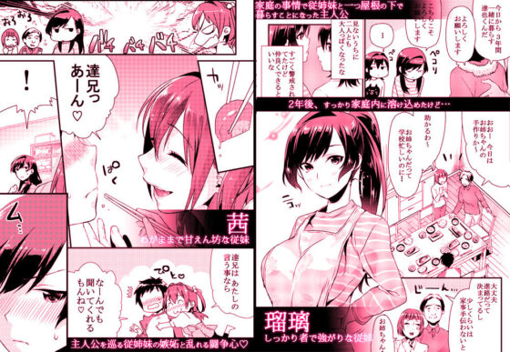 姉君妹君総集編(むしゃぶる) - FANZA同人