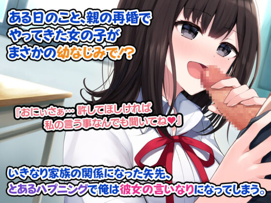 小柄で巨乳な妹が、ドMな兄を虐めて焦らしてイチャイチャSEXする話。(すいのせ) - FANZA同人