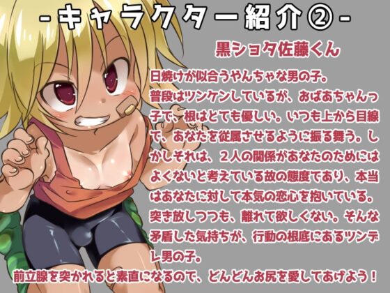 兄ちゃんならいいよ～ショタとイチャラブおしりえっち～ [妹すたー] | DLsite がるまに