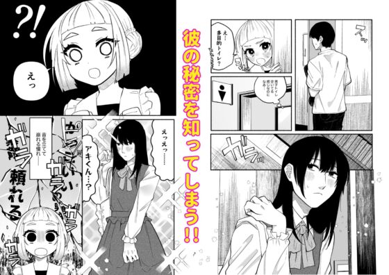 少女の下僕は女装癖を纏う(ヒダリミギ) - FANZA同人