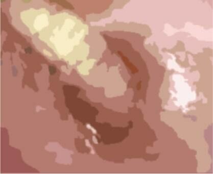 私の蟲姦遊び 第11話 妊娠中にカミキリ虫の幼虫とゴキブリの卵編 全編(シングルママの日常) - FANZA同人