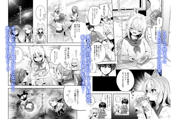 麦の恩返し-学生編- [林檎のなる木] | DLsite 同人 - R18