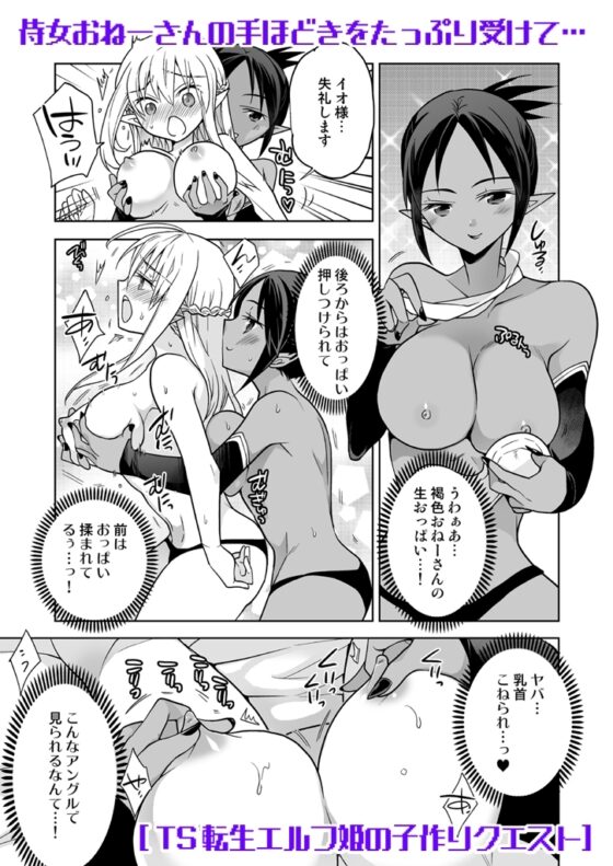 TS転生エルフ姫の子作りクエスト [T-NORTH] | DLsite 同人 - R18