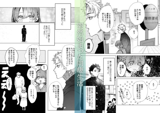 初恋の人の、身元引受人になりました。(あたらよ) - FANZA同人