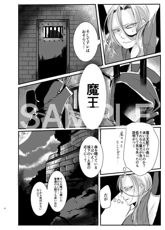 男魔導師が触手でめちゃくちゃにされる本 [にこごり] | DLsite がるまに