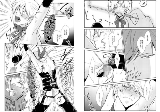 おねだり勇者と魔王と戯具 [Peeping Phantom] | DLsite がるまに