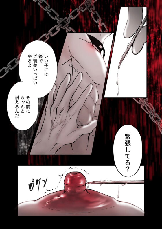 性的調教PLAY3 [Paramour] | DLsite がるまに