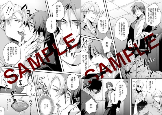 強気なヤンキーは堕とされる-総長輪姦 [パコズ] | DLsite がるまに