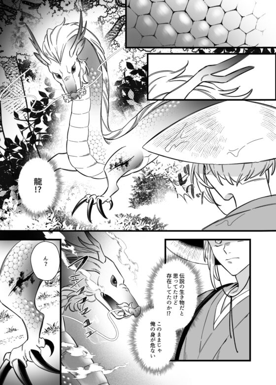 極孕婚―龍神様の伴侶になりませんっ― [パコズ] | DLsite がるまに