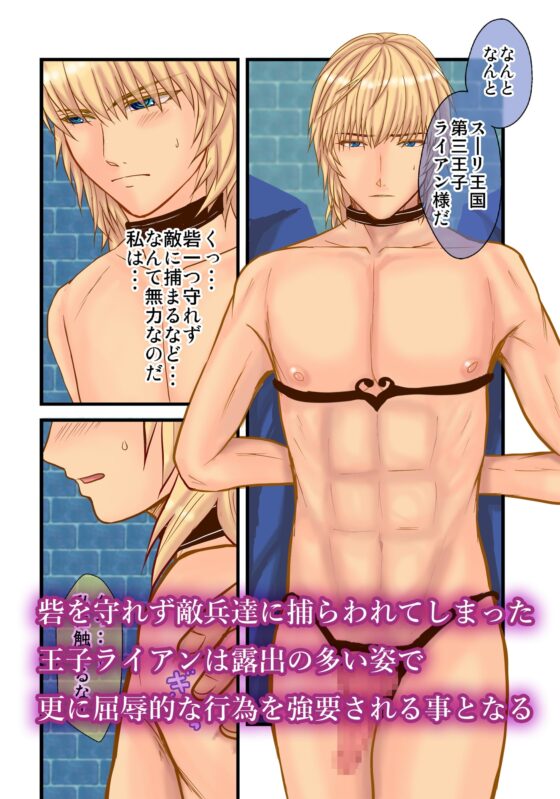 敵国兵に捕まった王子の末路～雌堕ちするまで続く性奴隷調教～ [エルドラド工房] | DLsite がるまに