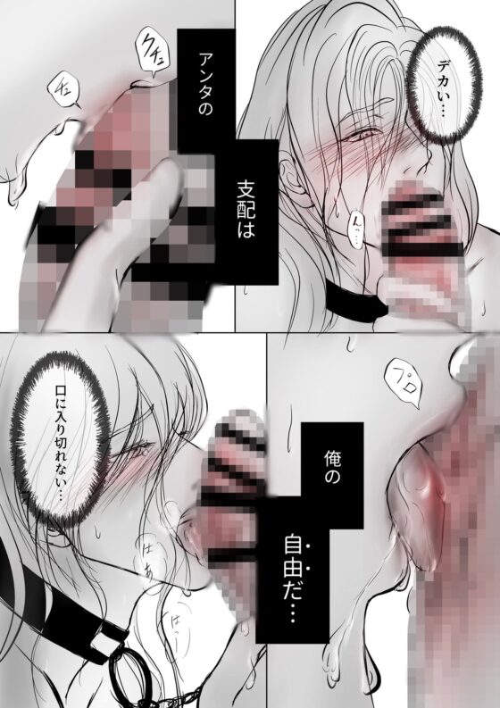 性的調教PLAY2 [Paramour] | DLsite がるまに