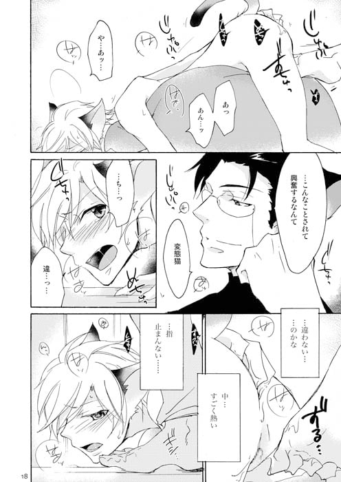 WOLF'S CAT Macaron: [+10] | DLsite がるまに