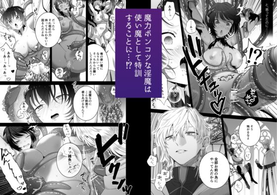 異世界転生したポンコツ淫魔はドS魔導師の使い魔になりました! [たまごキッチン] | DLsite がるまに