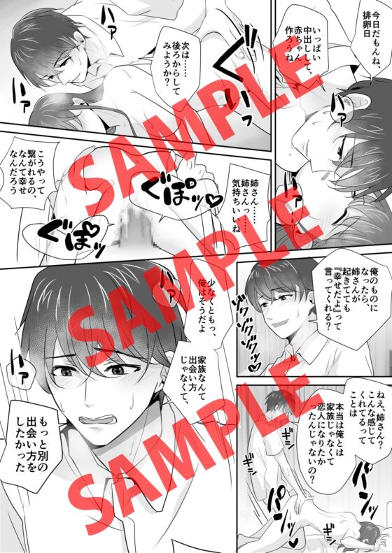 義理の弟が姉に睡眠薬を飲ませて中出しレイプ [KZentertainment] | DLsite がるまに