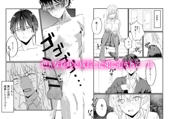 姉じゃなきゃ××しない⁉～一途な弟に求められて流されエッチ⁉～ [爆乳元年] | DLsite がるまに