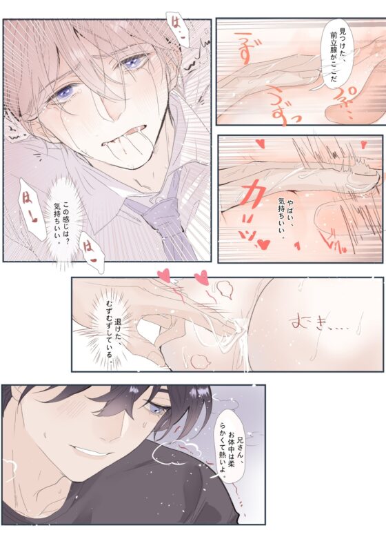 催眠!兄さんを強制中出 [SMALL~乐章] | DLsite がるまに