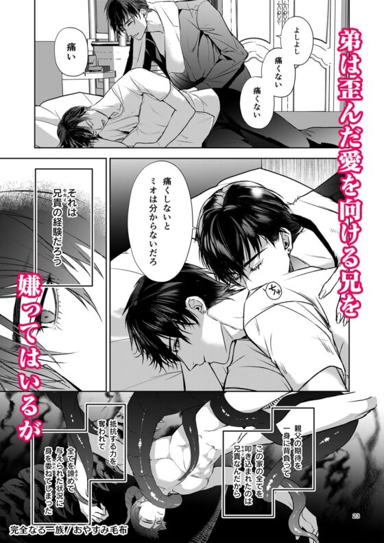 完全なる一族 [おやすみ毛布] | DLsite がるまに