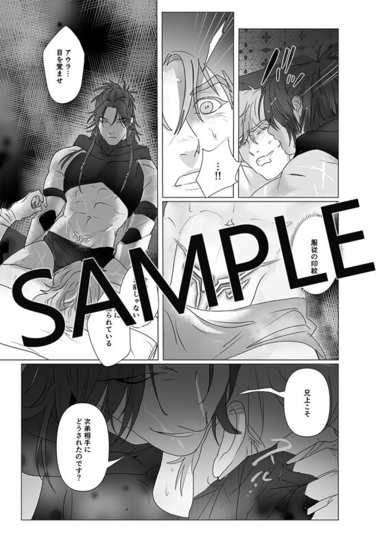 第二皇子 奴隷堕ちII [パコズ] | DLsite がるまに