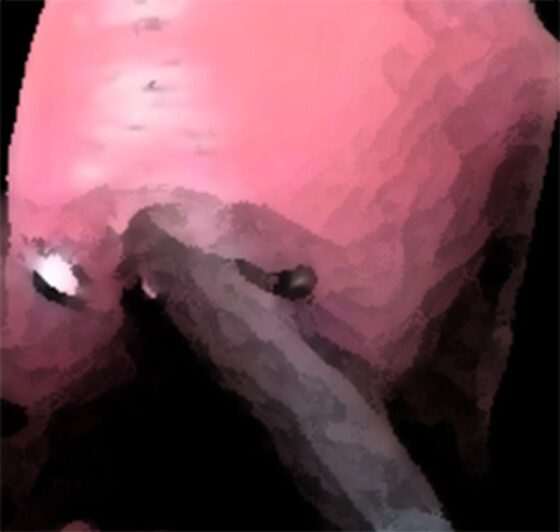 私の蟲姦遊び 18話 妊娠中に5 匹のミズアブの幼虫編(シングルママの日常) - FANZA同人