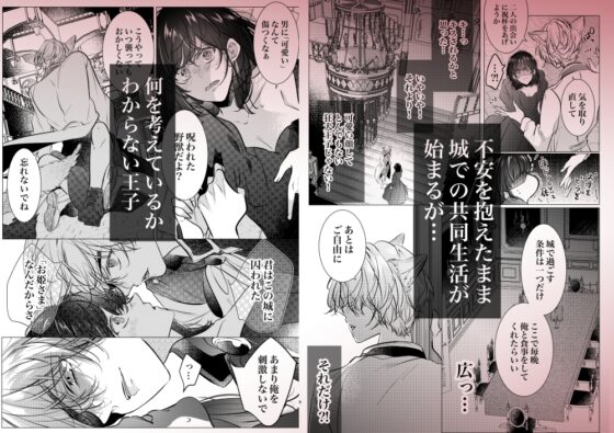 その恋は御伽話の中で。〜野獣少年と転生美女(?)の晩餐会〜 [猫八舎] | DLsite がるまに