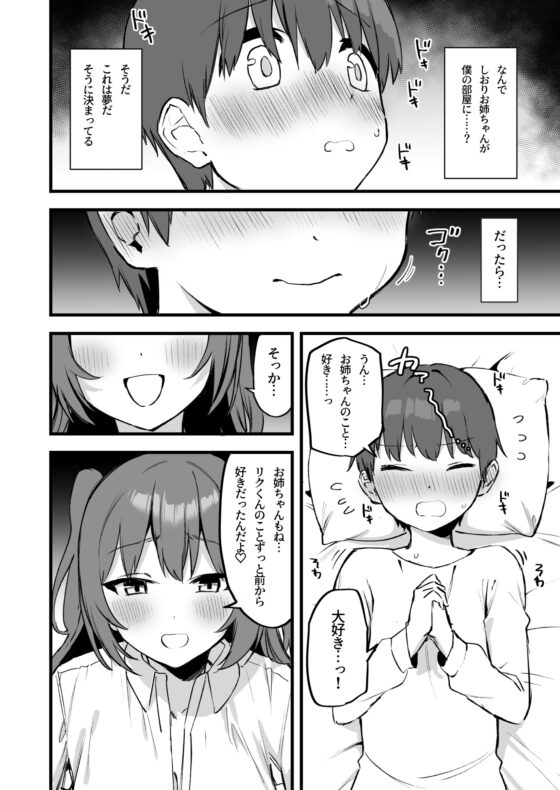 お姉ちゃんはサキュバス!? [プライドビーンズ] | DLsite 同人 - R18