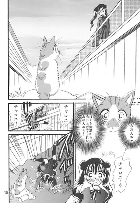 猫またハイロ2巻 [サイタマ新都心] | DLsite 同人