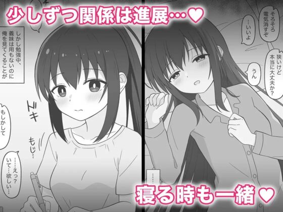 ひきこもりの義妹をなんとかしたい兄の話 [こよこよパレット] | DLsite 同人 - R18