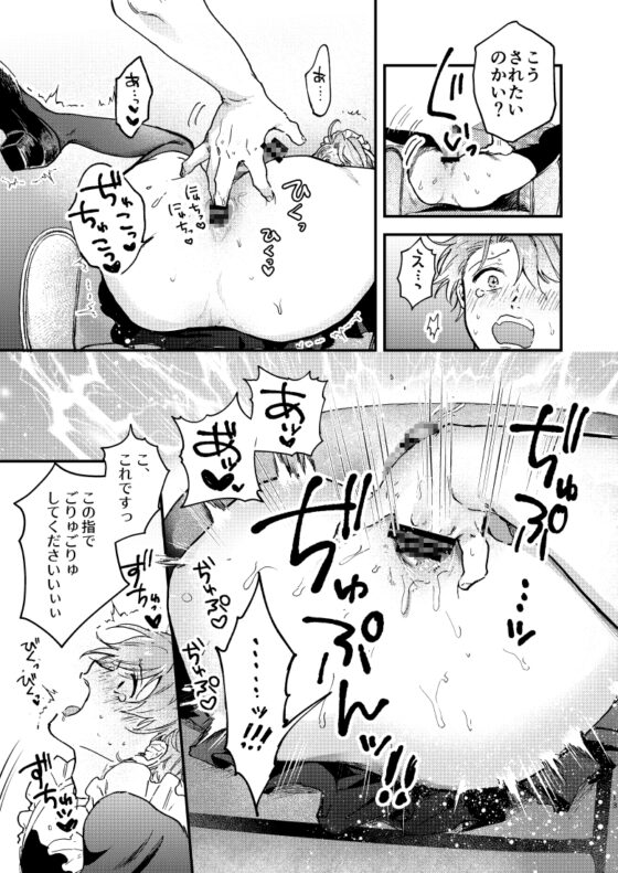 清楚アイドルのお下品セックス [アッサ/assaworks] | DLsite がるまに