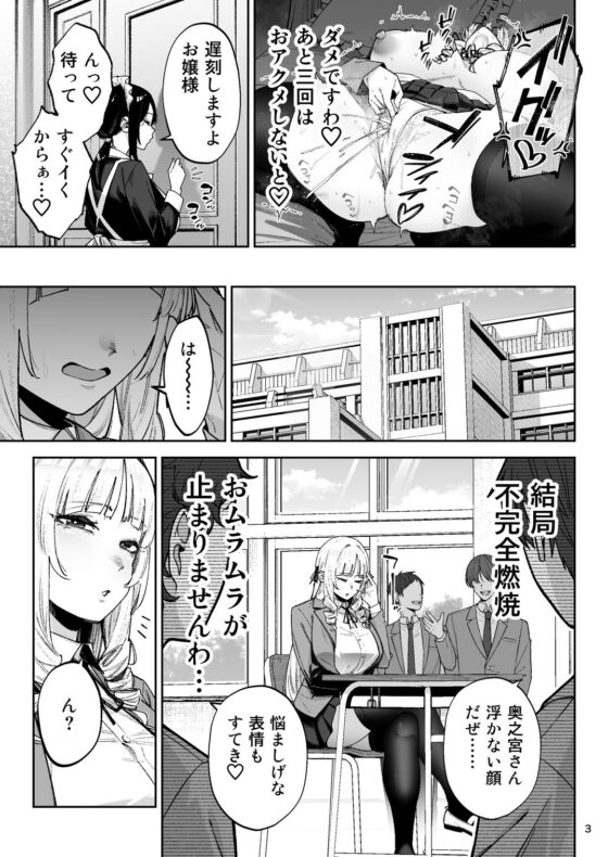それゆけ、エロバカお嬢様! 〜セレブの私がデカチン庶民を手籠めにするのは当然です!〜