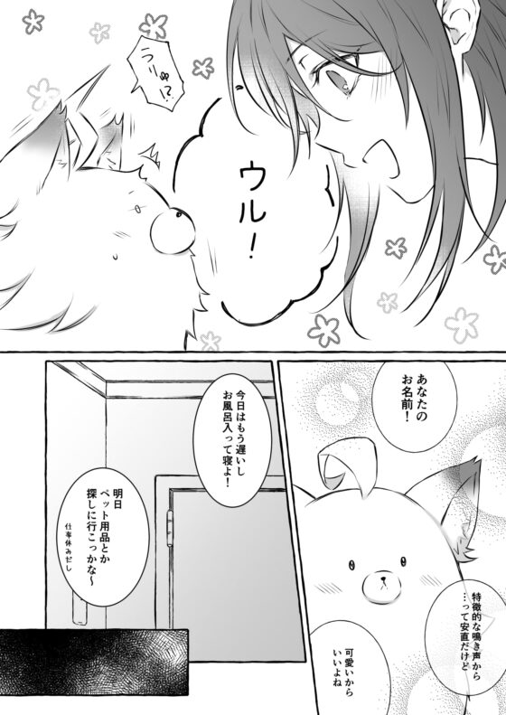 うちのペットは淫獣です。 [NULLNULL] | DLsite がるまに