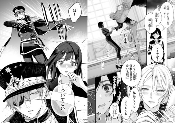 クロスプリンス ギルフォート編 [フェンガーリア] | DLsite がるまに