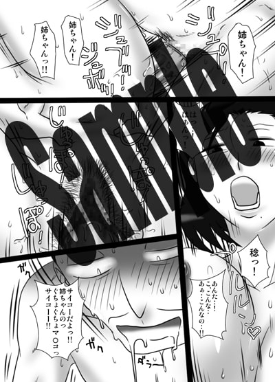 40間近の弟が、姉を寝取りました。 [フリーハンド魂] | DLsite 同人 - R18