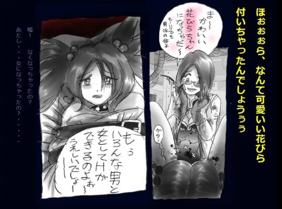 強制女体化兄 [女人化研究所] | DLsite 同人 - R18