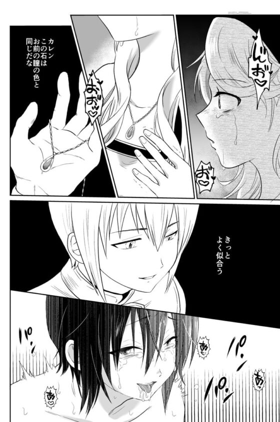 かわいそうな王子様は悪い魔法でお城のメス便器にされてしまいました3 [きのっ子] | DLsite 同人 - R18