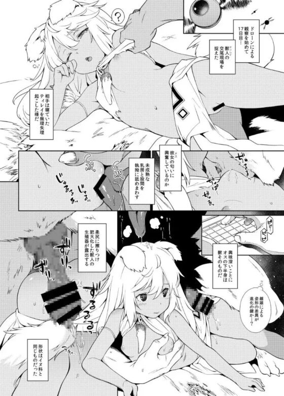 獣人生態観察記録 [IRIOMOTE] | DLsite 同人 - R18