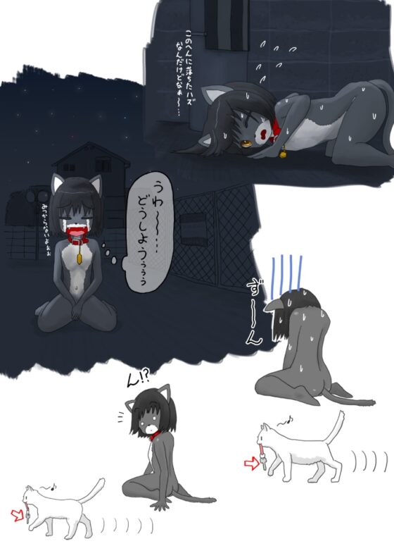 全裸に猫のボディペイント!アナル尻尾で強制オナニー [紳士財閥] | DLsite 同人 - R18