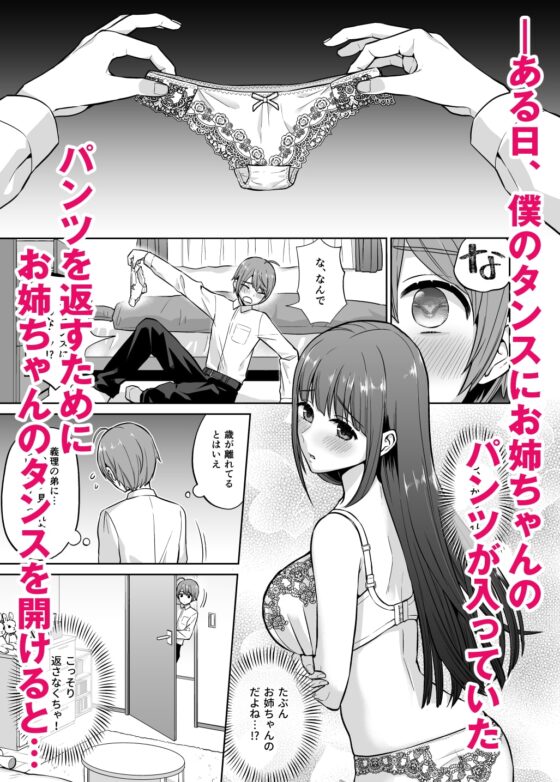 おっとりお姉ちゃんのえっちな本性 [どうしょく] | DLsite 同人 - R18