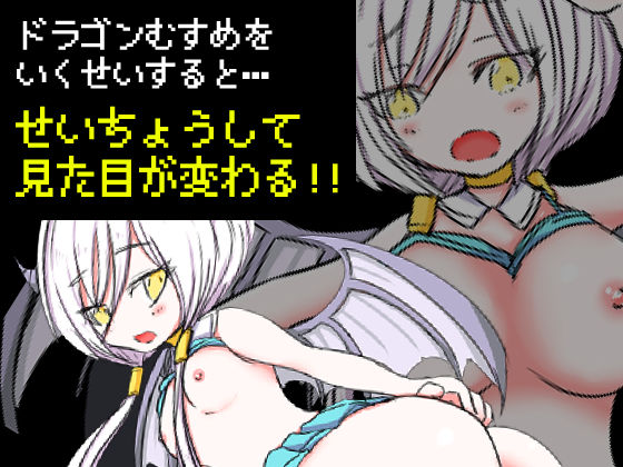 ドラゴンズカルマ(四畳半ファクトリー) - FANZA同人