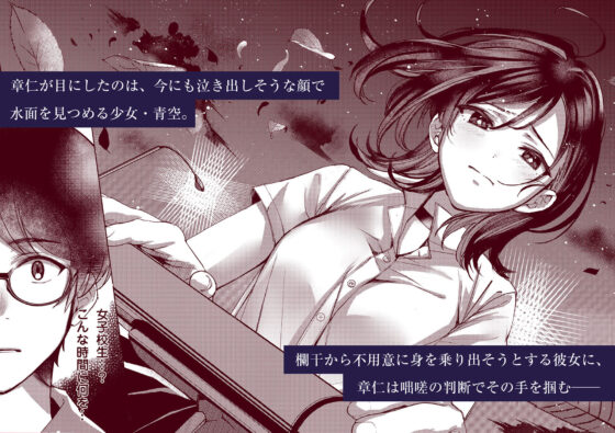 青空は夜に咲く(巣ごもりバード) - FANZA同人