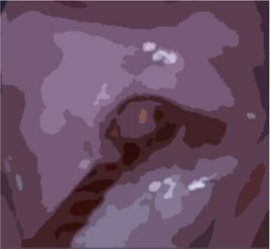 私の蟲姦遊び 第11話 妊娠中にカミキリ虫の幼虫とゴキブリの卵編 全編(シングルママの日常) - FANZA同人