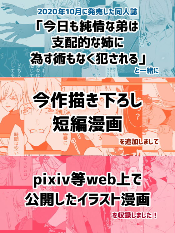 今日も純情な弟は支配的な姉に為す術もなく犯●れる Re:(一宙二星) - FANZA同人