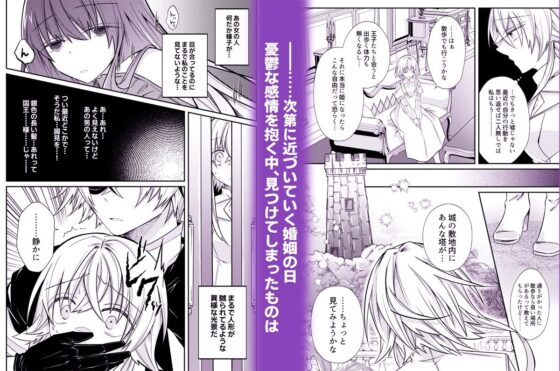 寵愛系ヤンデレ兄弟王子は甘々調教で完堕ち花嫁を作り上げたい(はとペア) - FANZA同人