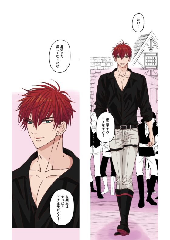 ヤンデレ王子（兄）が、純情バカな俺様王子（弟）を 夜●いしたようです。(星谷京) - FANZA同人