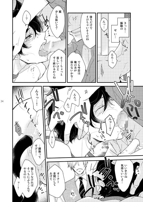 淫猫カフェ~milktime~ オーナー×新人猫・蜜 [+10] | DLsite がるまに