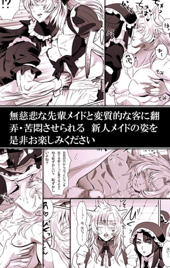 銀猫と黒猫 [しめさば] | DLsite がるまに